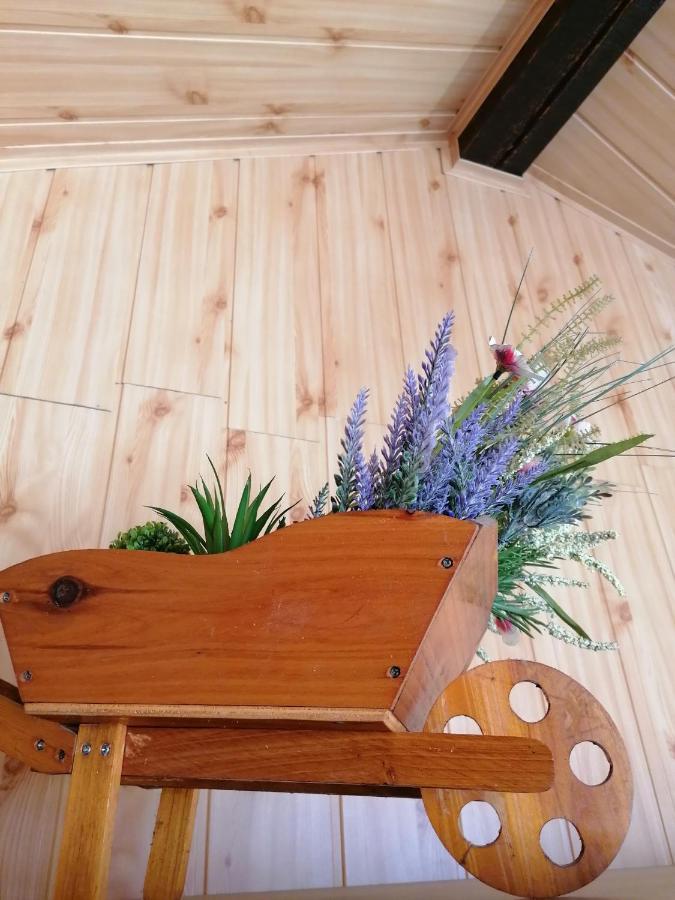 Cozy Attic Studio บราชอฟ ภายนอก รูปภาพ